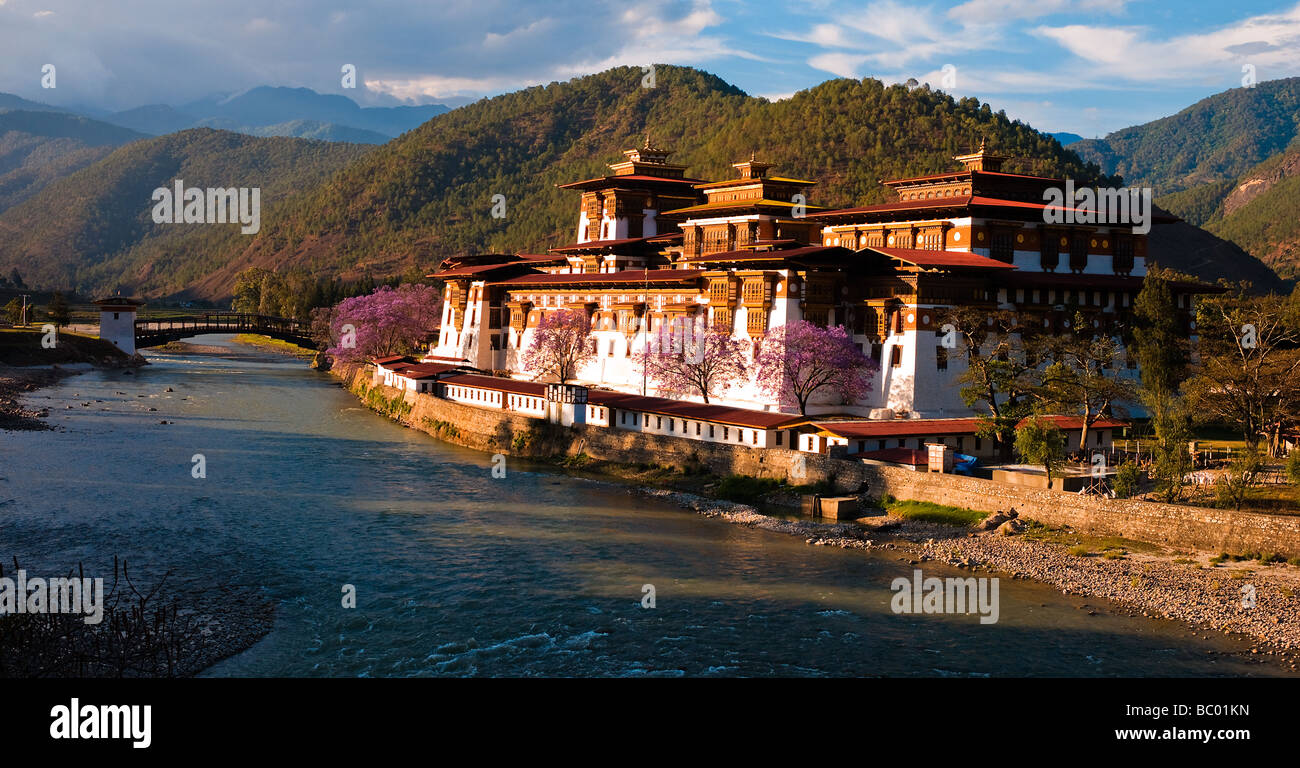 Majestic Punakha Dzong au coucher du soleil - punakha, Bhoutan Banque D'Images