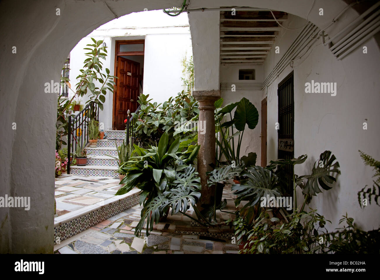 Cour d'une maison dans le village blanc de Medina Sidonia Cadiz Andalousie Espagne Banque D'Images