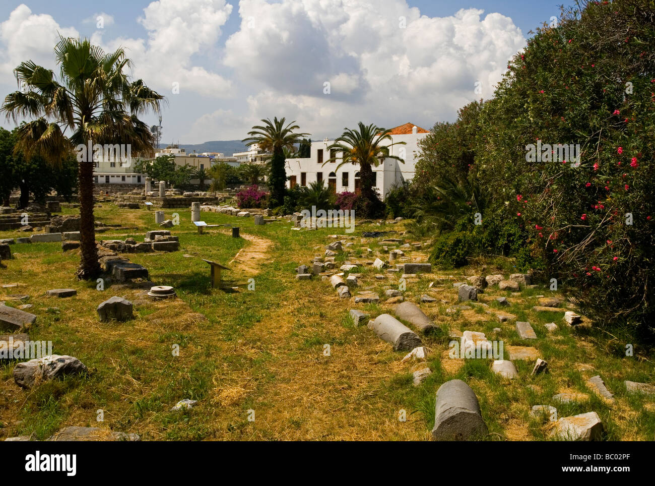 Ruines de l'Agora une ancienne ville grecque et romaine dans l'île grecque de Kos dans la chaîne du Dodécanèse Banque D'Images