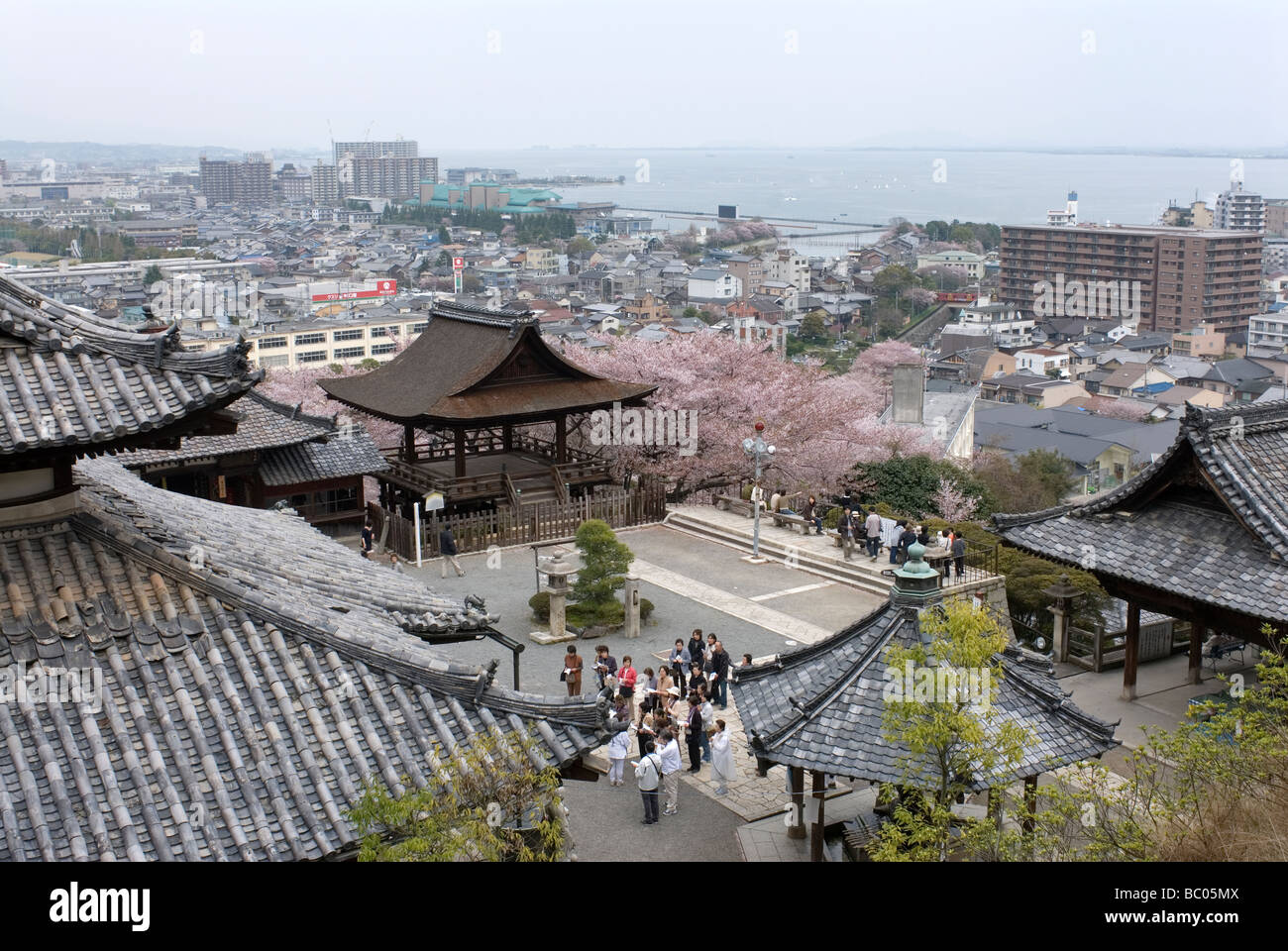 Une vue du lac Biwa, Otsu et le célèbre Temple Mii-dera à l'apogée de la saison des cerisiers en fleur. Banque D'Images
