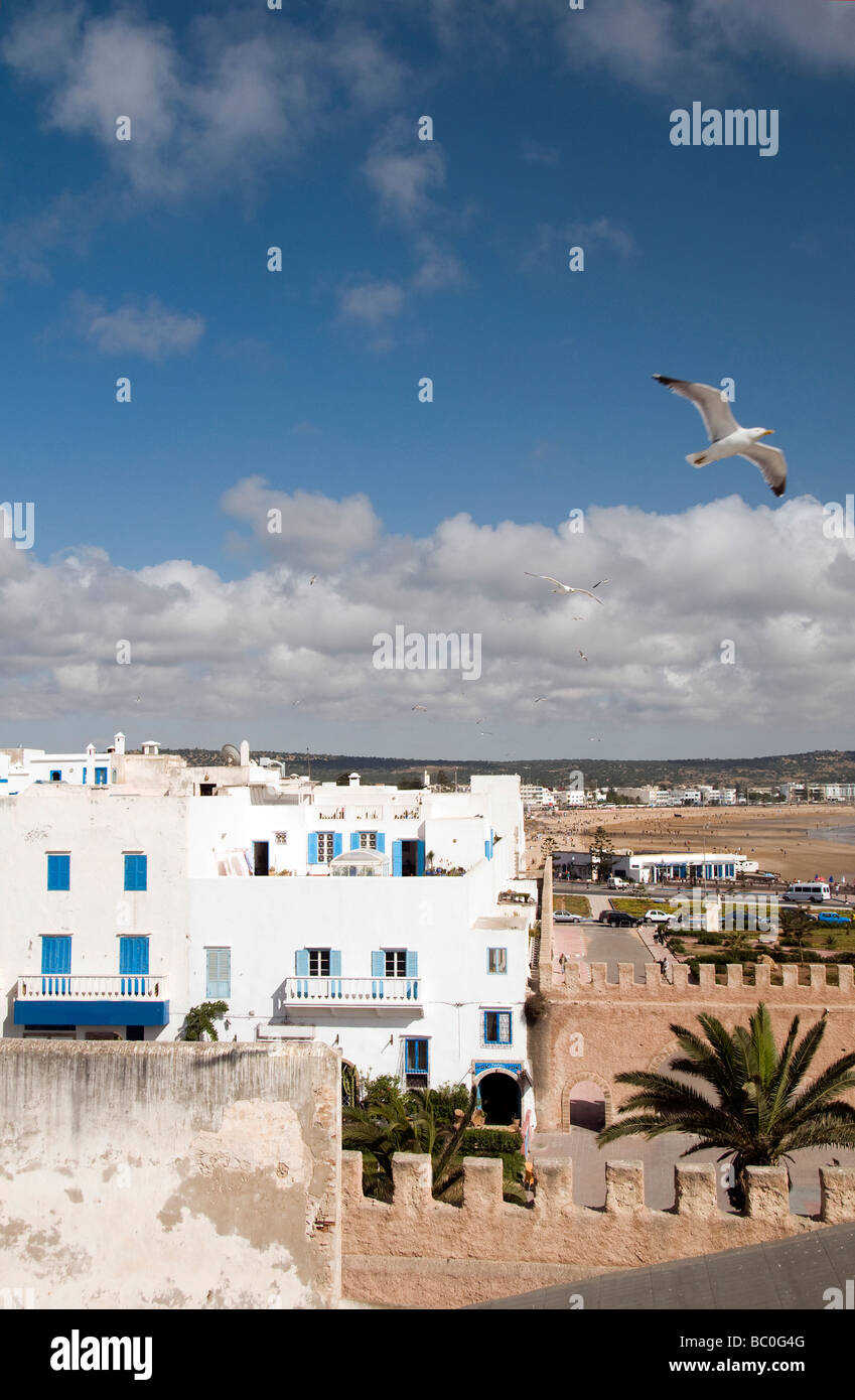 Vue sur le toit de popular tourist beach resort d'essaouira maroc en Afrique avec l'architecture générique et beach seascape Banque D'Images