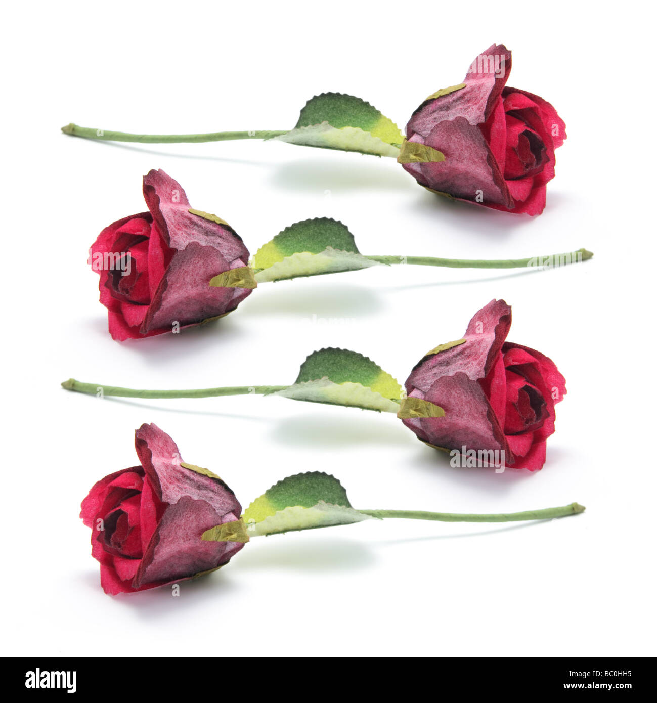 Roses rouges Banque D'Images