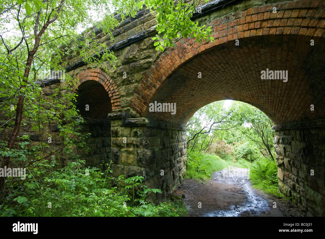 Pont ferroviaire désaffecté envahi par la voûte en brique montrant Ravenscar Brick Works, North Yorkshire Angleterre Banque D'Images