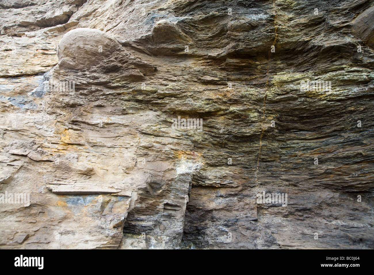 La géologie sur la côte du Yorkshire du Nord, Angleterre Banque D'Images