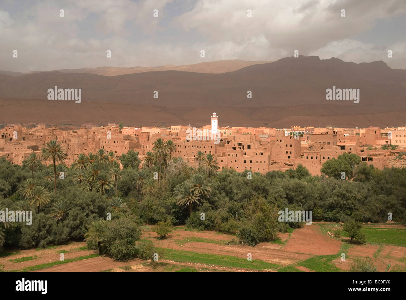 La ville de Tinerhir comme une tempête de sable de l'Afrique du Nord Maroc approches Banque D'Images
