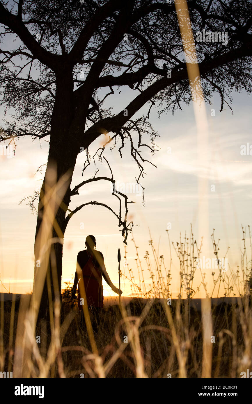 Guerrier massaï au lever du soleil - Masai Mara National Reserve, Kenya Banque D'Images