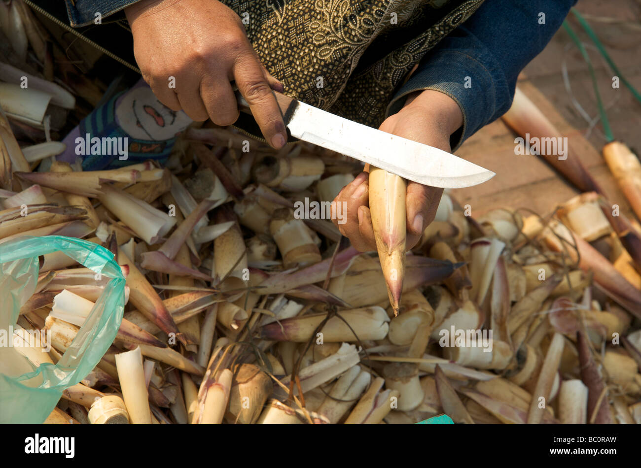 Les pousses de bambou fraîches coupées à dimension bing à Luang Prabang au Laos Banque D'Images