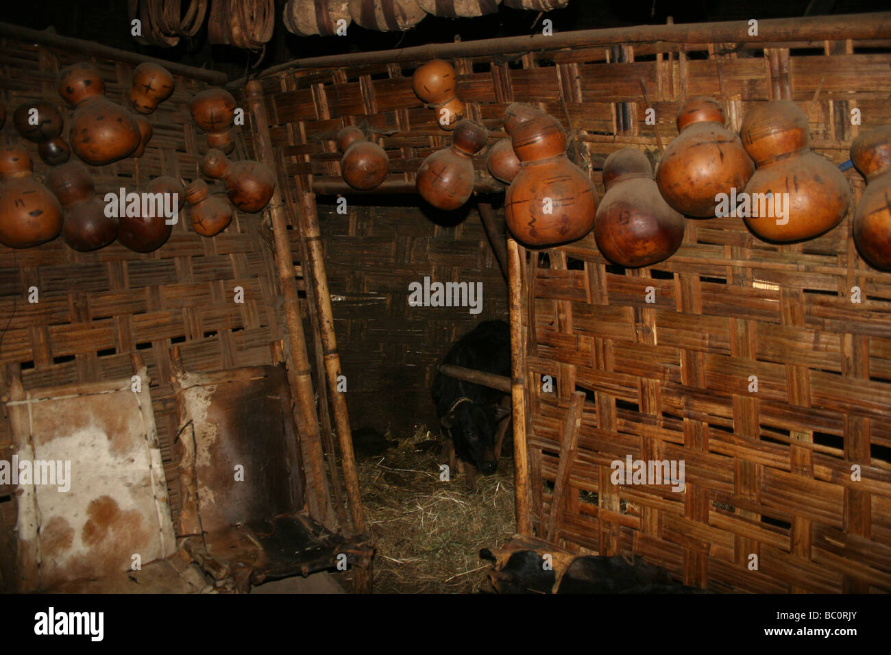 Région de l'Omo Ethiopie Afrique Chencha village Dorze intérieur d'une cabane en forme d'éléphant traditionnel Banque D'Images