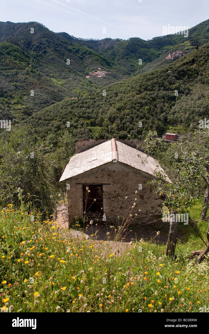 Farmer's cabane en pierre dans le Parc National des Cinque Terre Banque D'Images