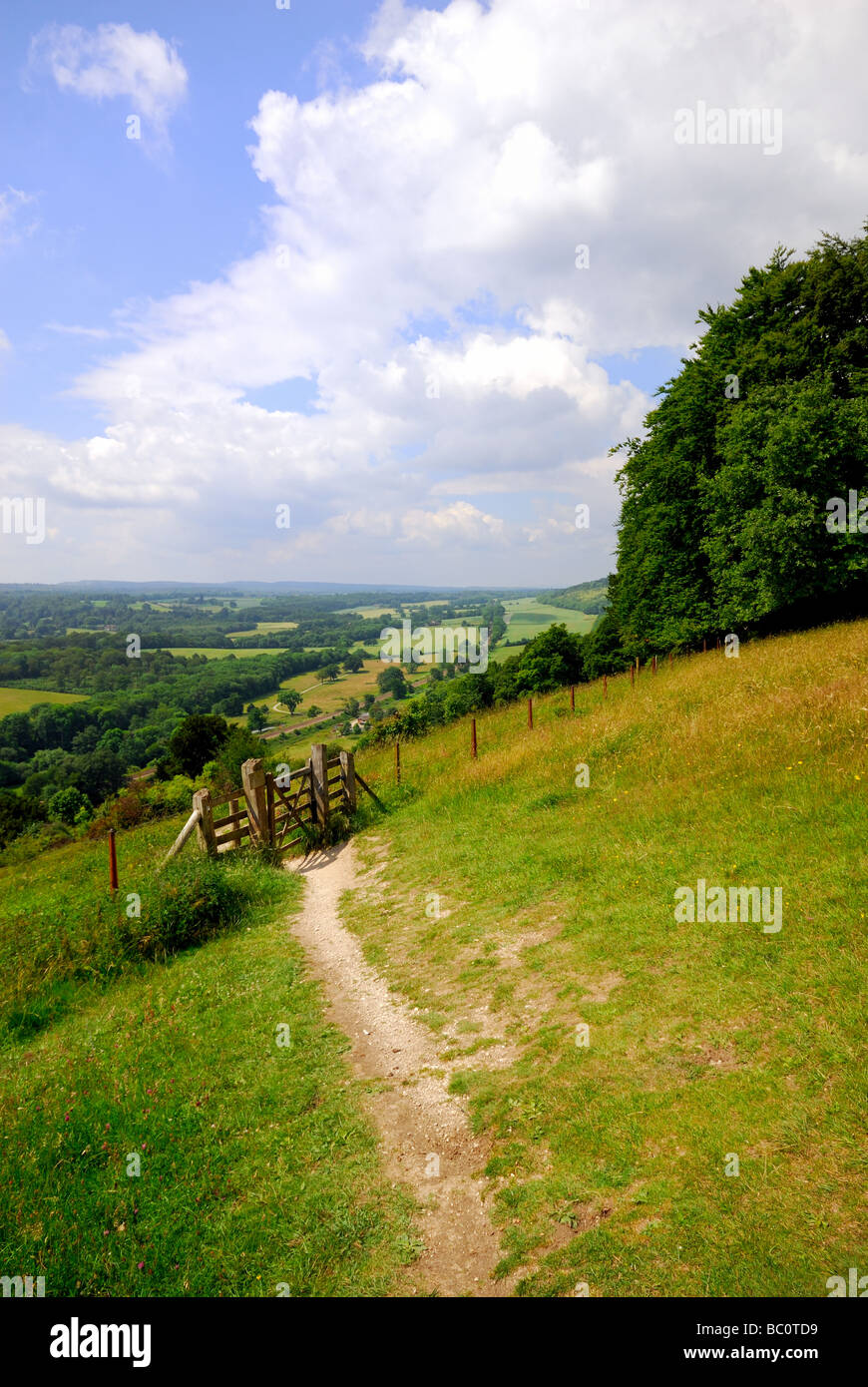 North Downs près de Dorking Banque D'Images