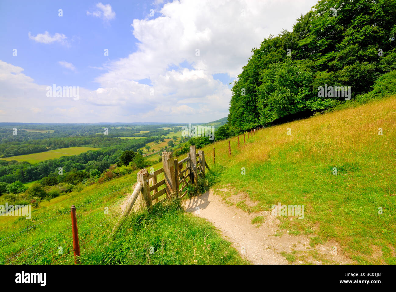 North Downs près de Dorking Banque D'Images