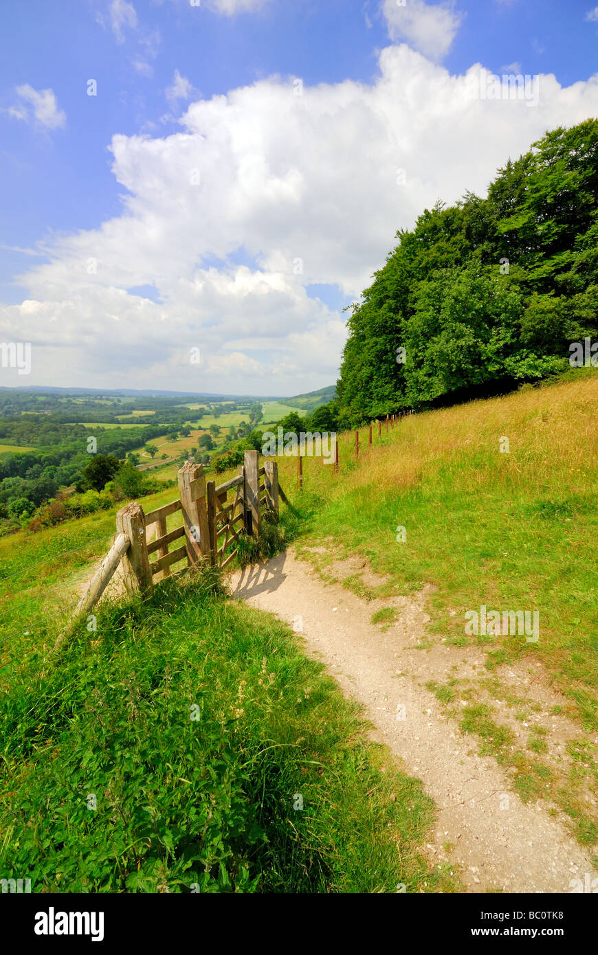 North Downs près de Dorking Banque D'Images