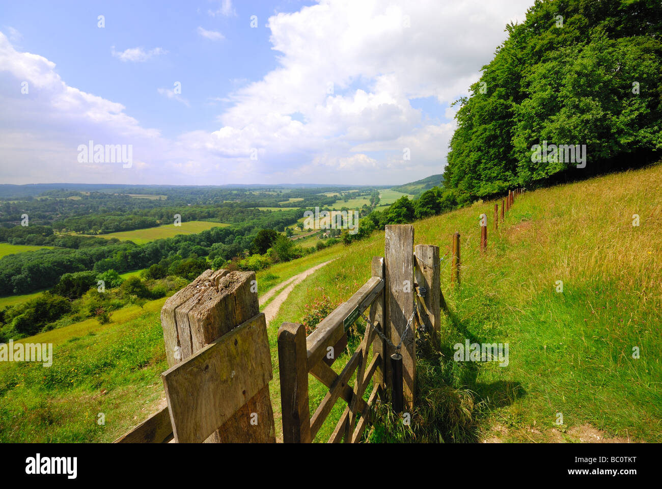 North Downs près de Dorking Banque D'Images