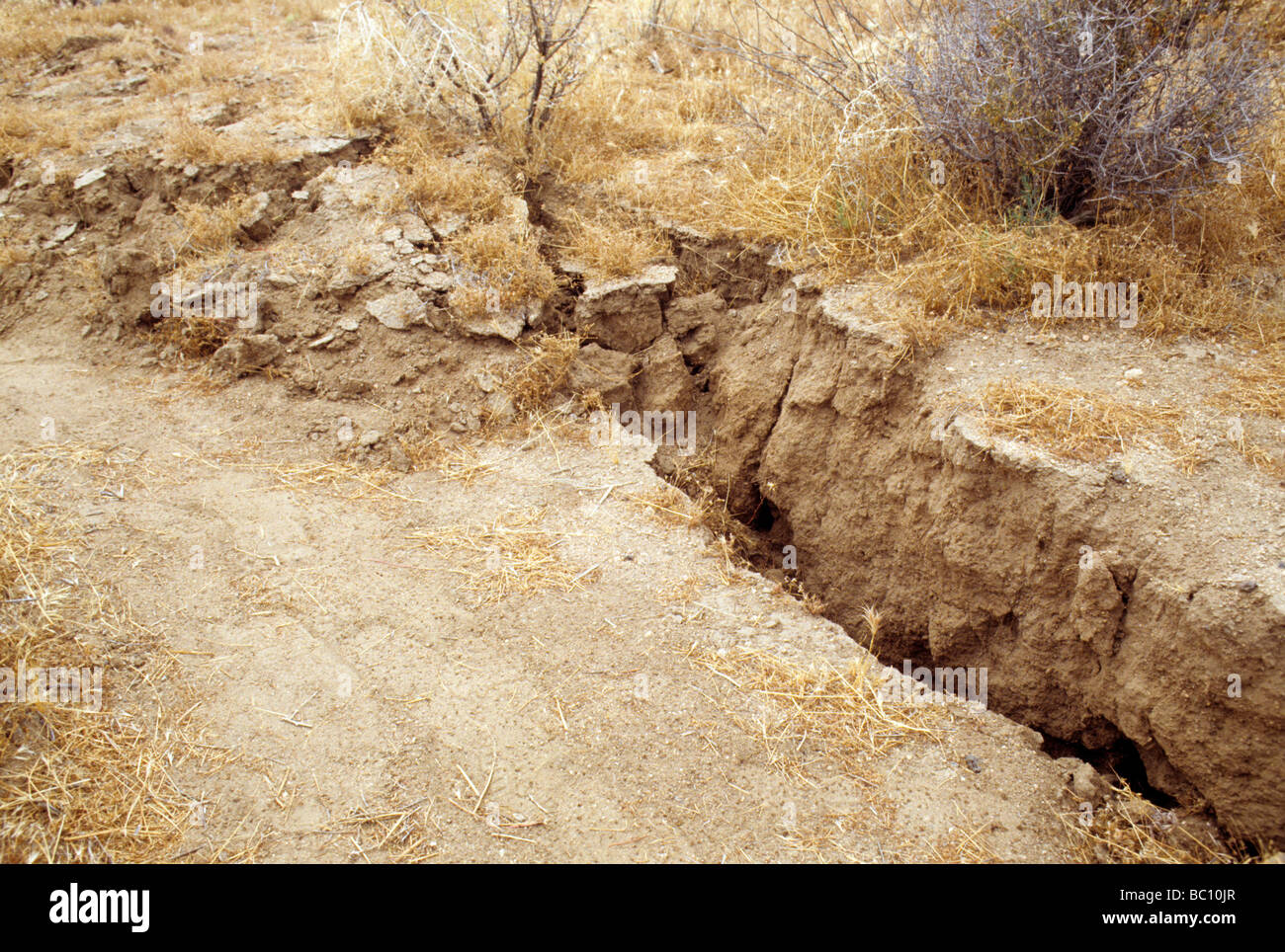 Défaut tremblement de landers en Californie 1992 Richter 7.3 crack temblor sismique de la terre Banque D'Images