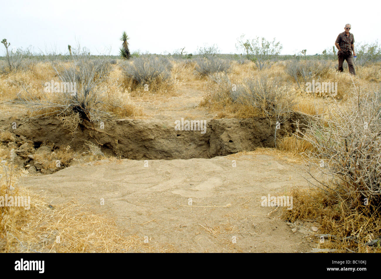 Défaut tremblement de landers en Californie 1992 Richter 7.3 crack temblor sismique de la terre Banque D'Images