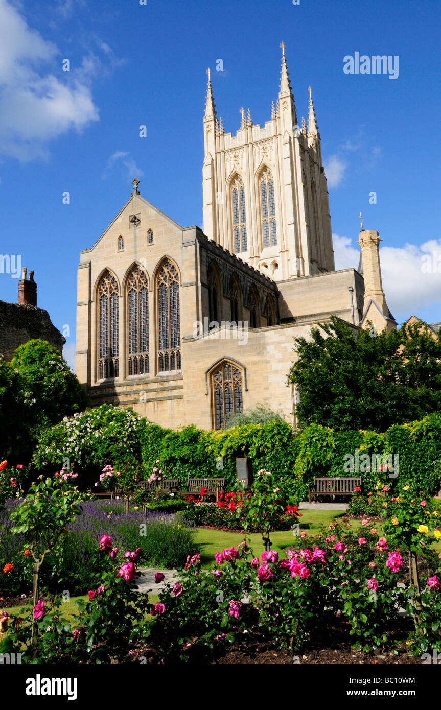 Cathédrale St Edmundsbury vue de la Roseraie dans le jardins de l'abbaye de Bury St Edmunds, Suffolk, Angleterre, Royaume-Uni Banque D'Images