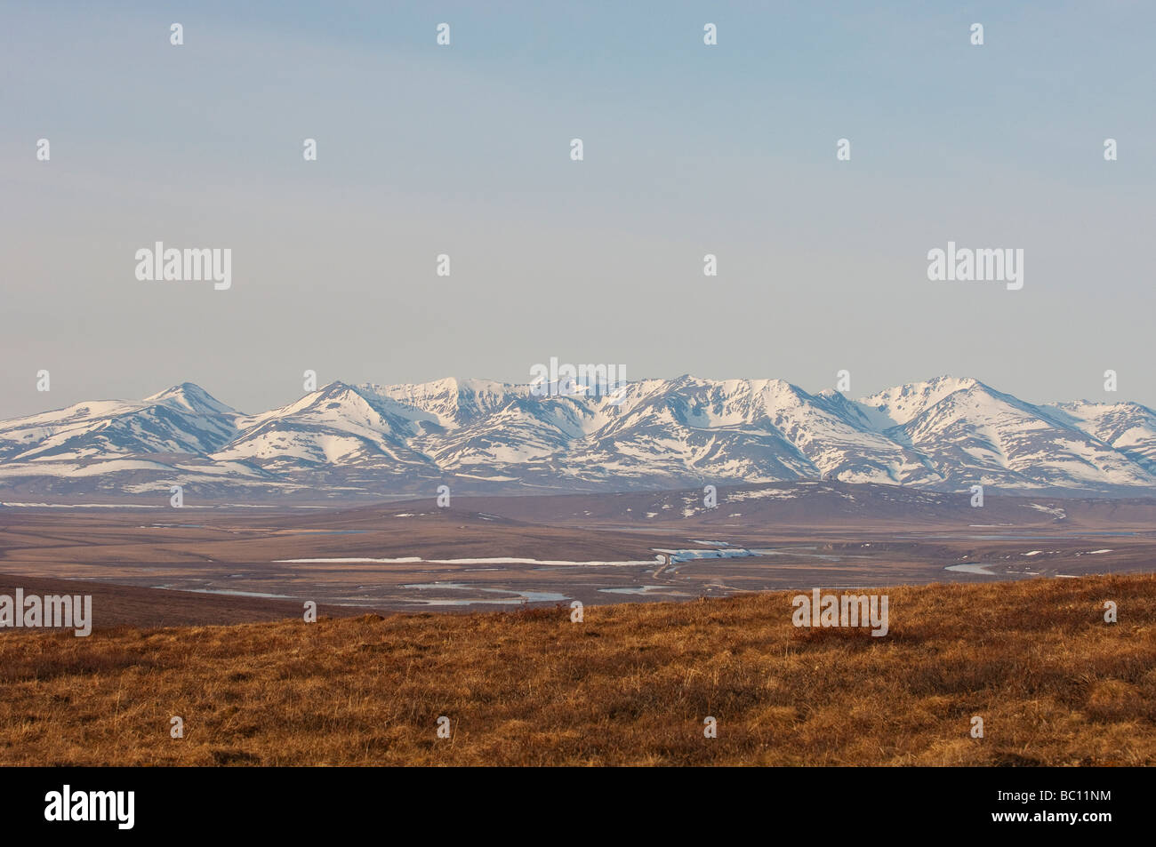 Montagnes couvertes de neige dans la toundra de l'ALASKA Banque D'Images