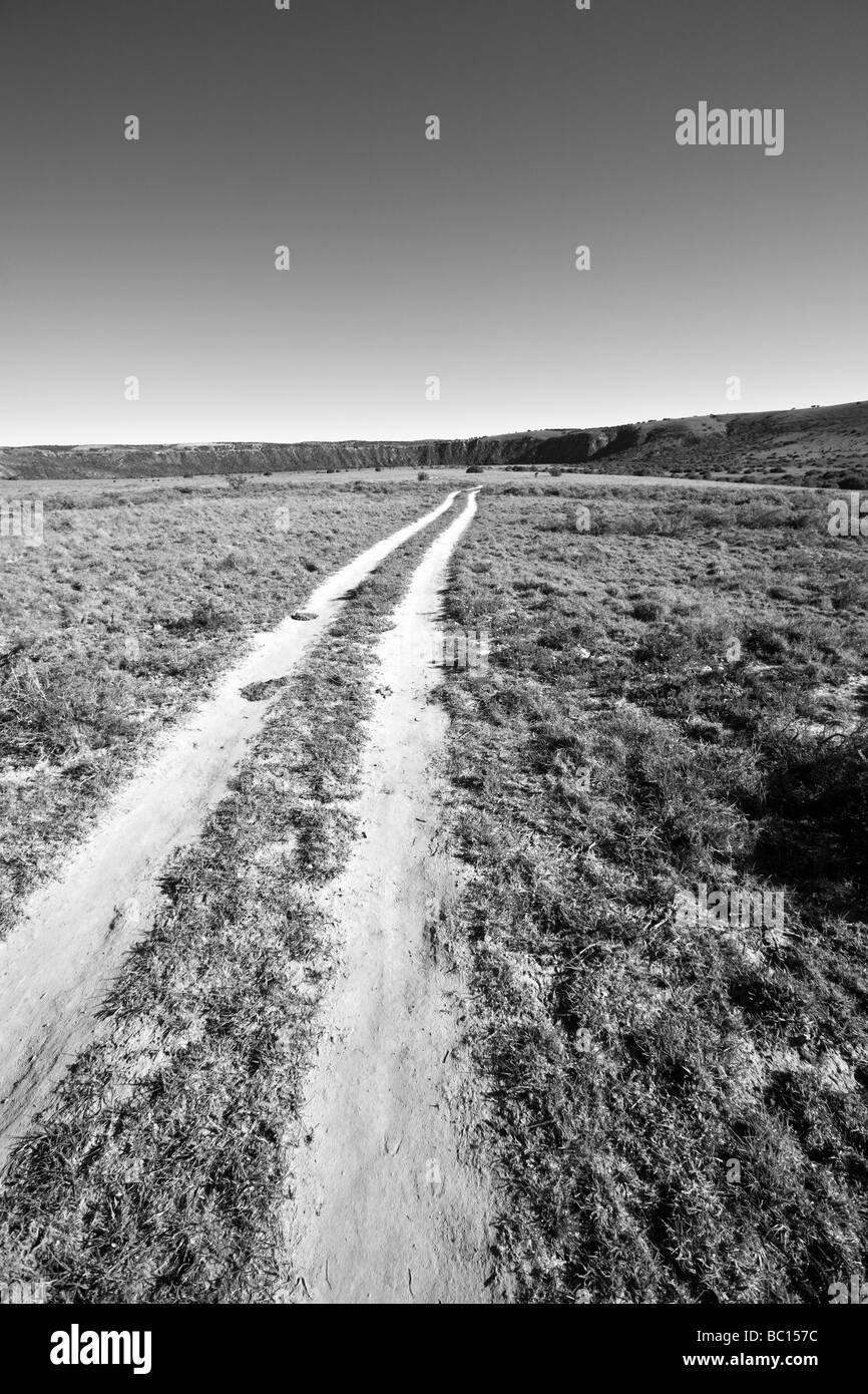 L'Afrique du Sud, Eastern Cape Province, Amakhala Game Reserve. Route de poussière, les voies. Banque D'Images