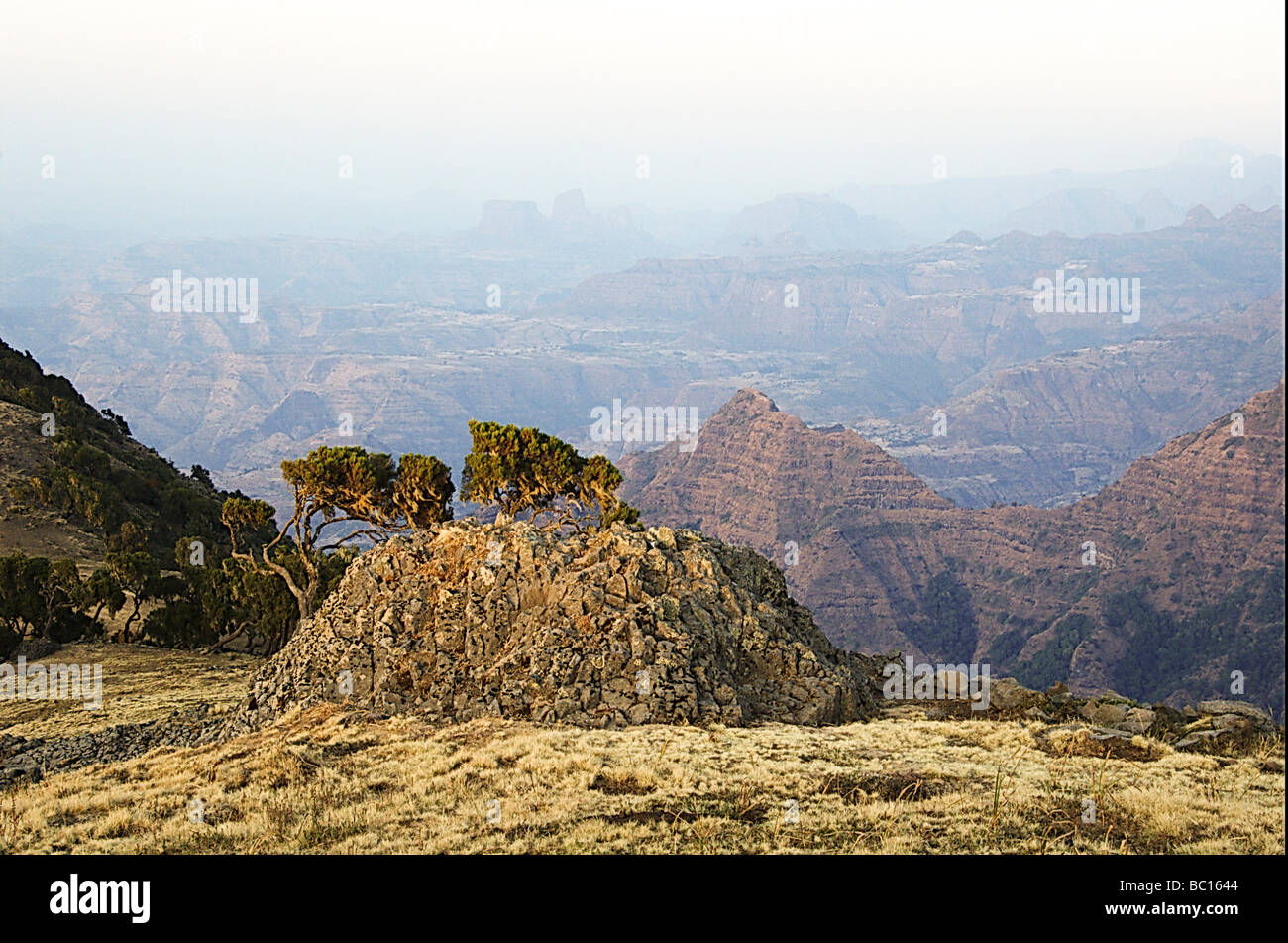 L'Éthiopie Afrique Parc National des montagnes du Simien Banque D'Images