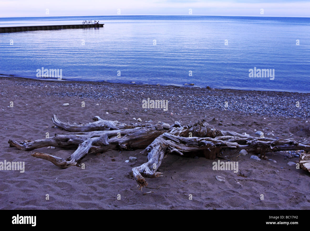 Driftwood sur plage de sable du lac Ontario et les gens se détendre sur pier à Toronto au crépuscule Banque D'Images