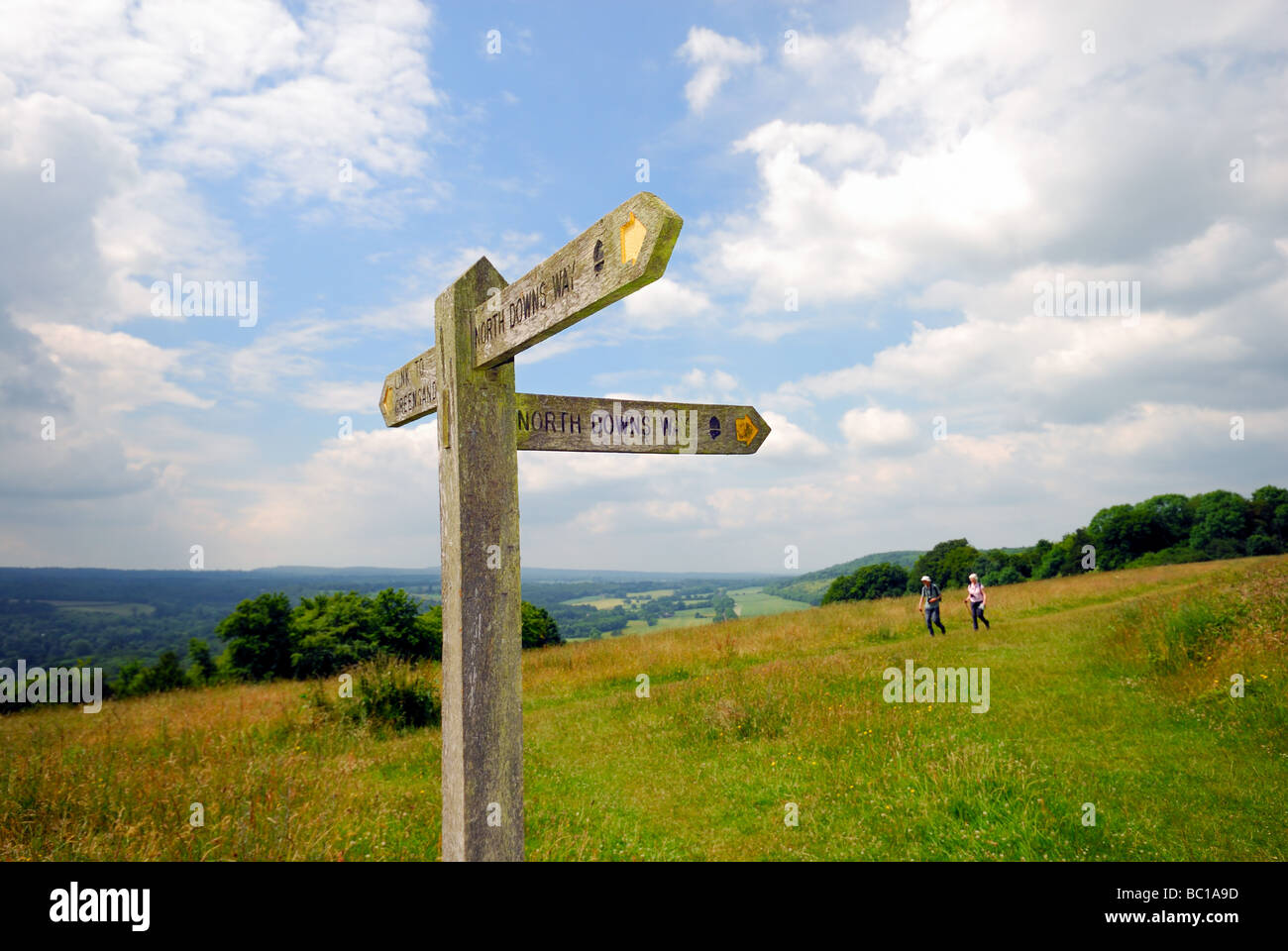 Sign post le North Downs Way près de Dorking Banque D'Images