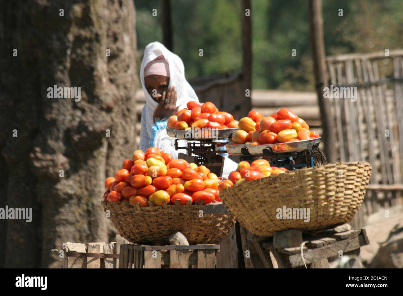 Afrique du nord de l'Ethiopie Lalibela le marché les gens voyagent pendant des jours à venir et le commerce des produits au marché Femme vendant des tomates Banque D'Images