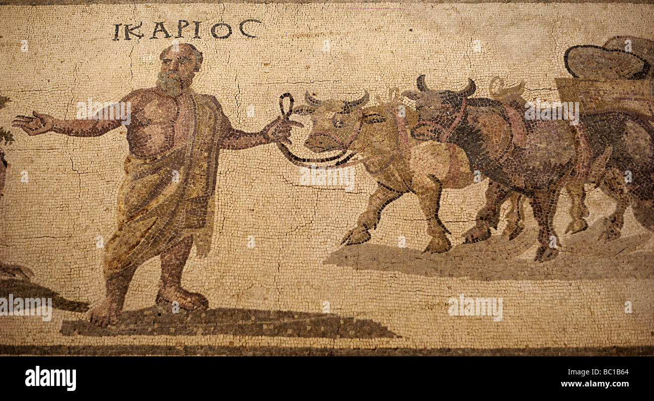 Chypre, Paphos, Dyonisos, villa sol de mosaïque (2e-3e siècles avant J.-C.) Banque D'Images