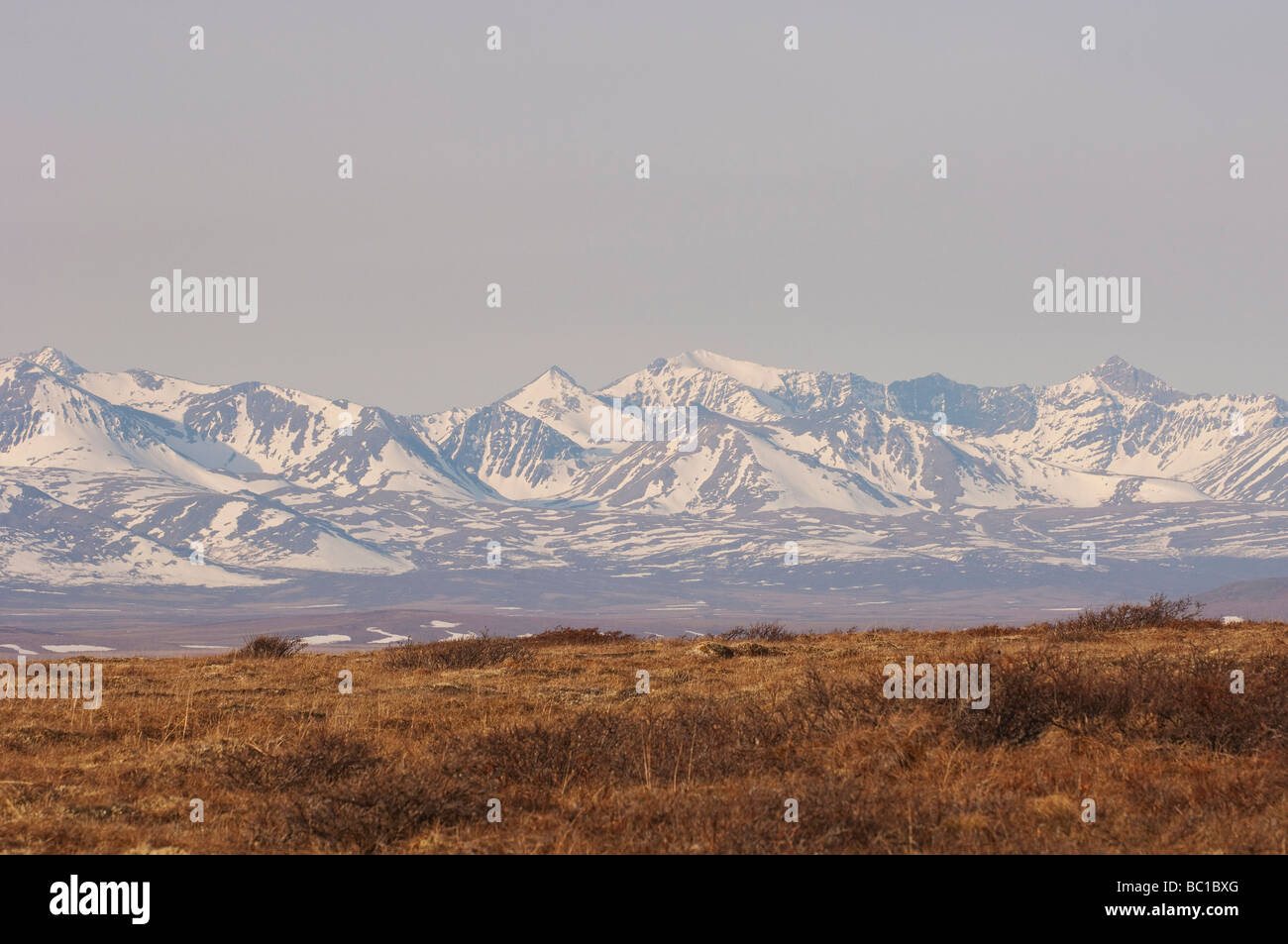 Montagnes couvertes de neige dans la toundra de l'ALASKA Banque D'Images