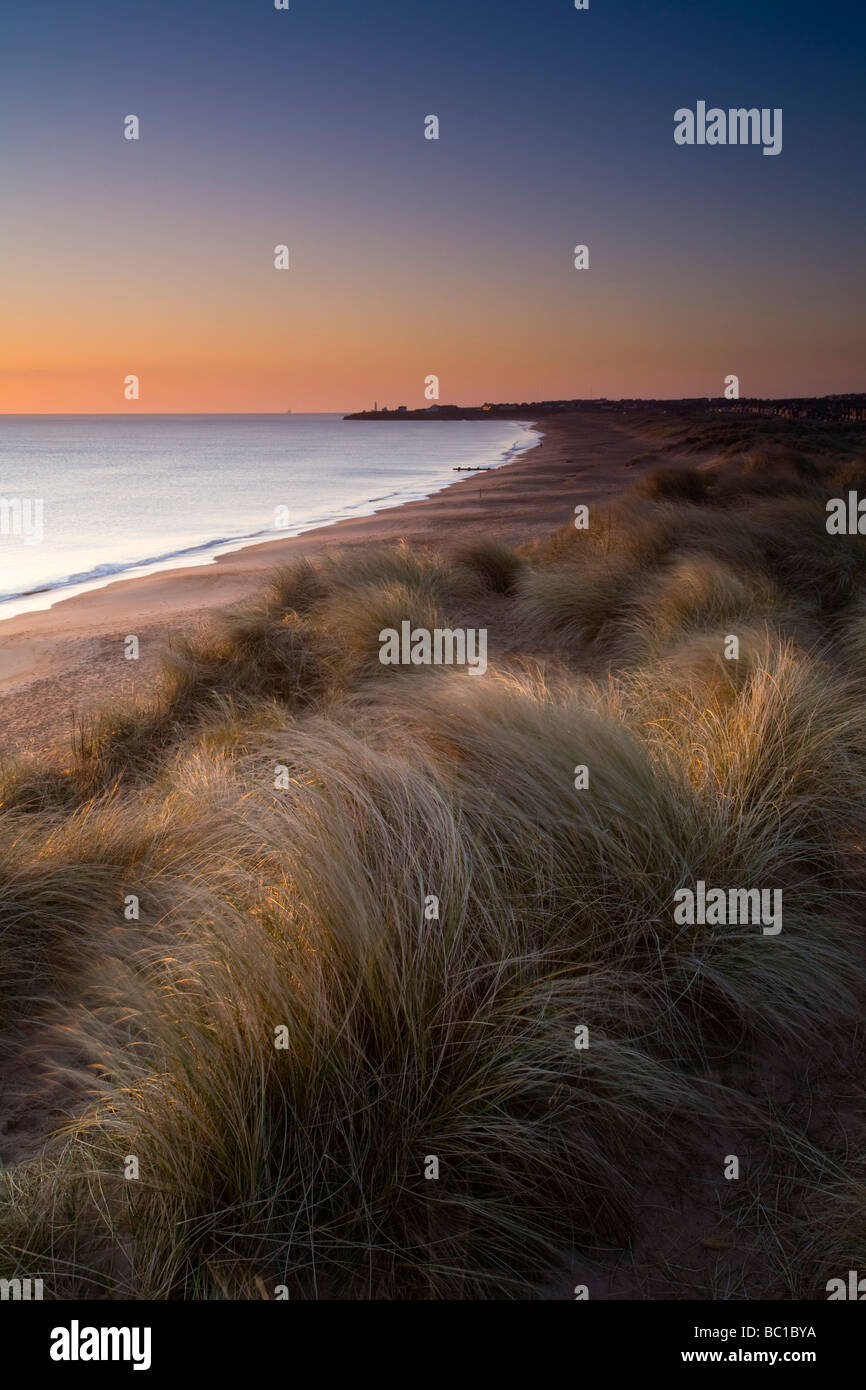 Northumberland England Blyth Blyth plage plage et dunes de sable au lever du soleil à la direction sud vers l'Écluse Seaton Banque D'Images