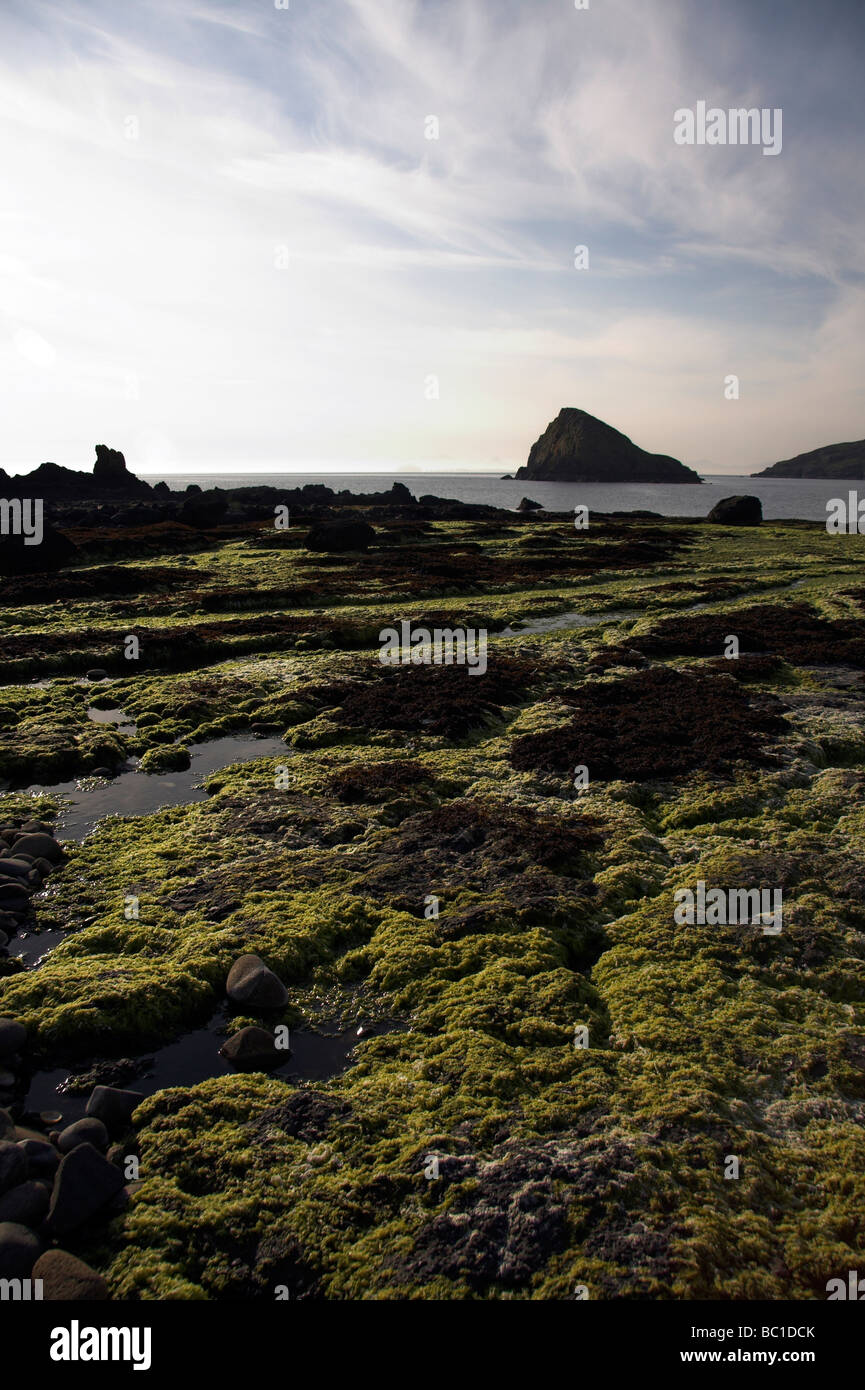 Duntulm Bay, île de Skye, Hébrides intérieures, côte ouest de l'Ecosse, Royaume-Uni Banque D'Images