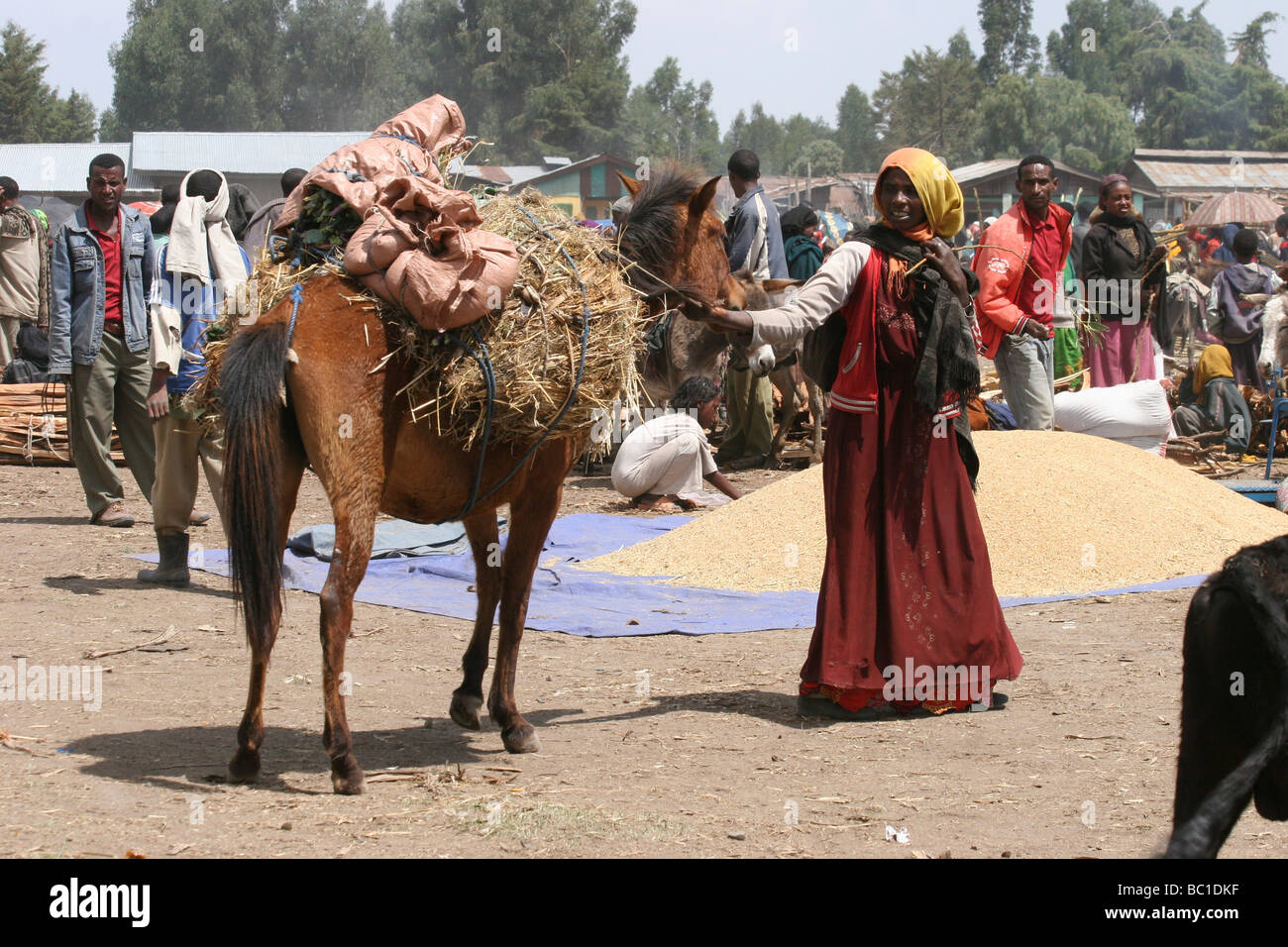 Afrique du nord de l'Ethiopie Lalibela le marché les gens voyagent pendant des jours à venir et le commerce des produits au marché du transport hé Banque D'Images