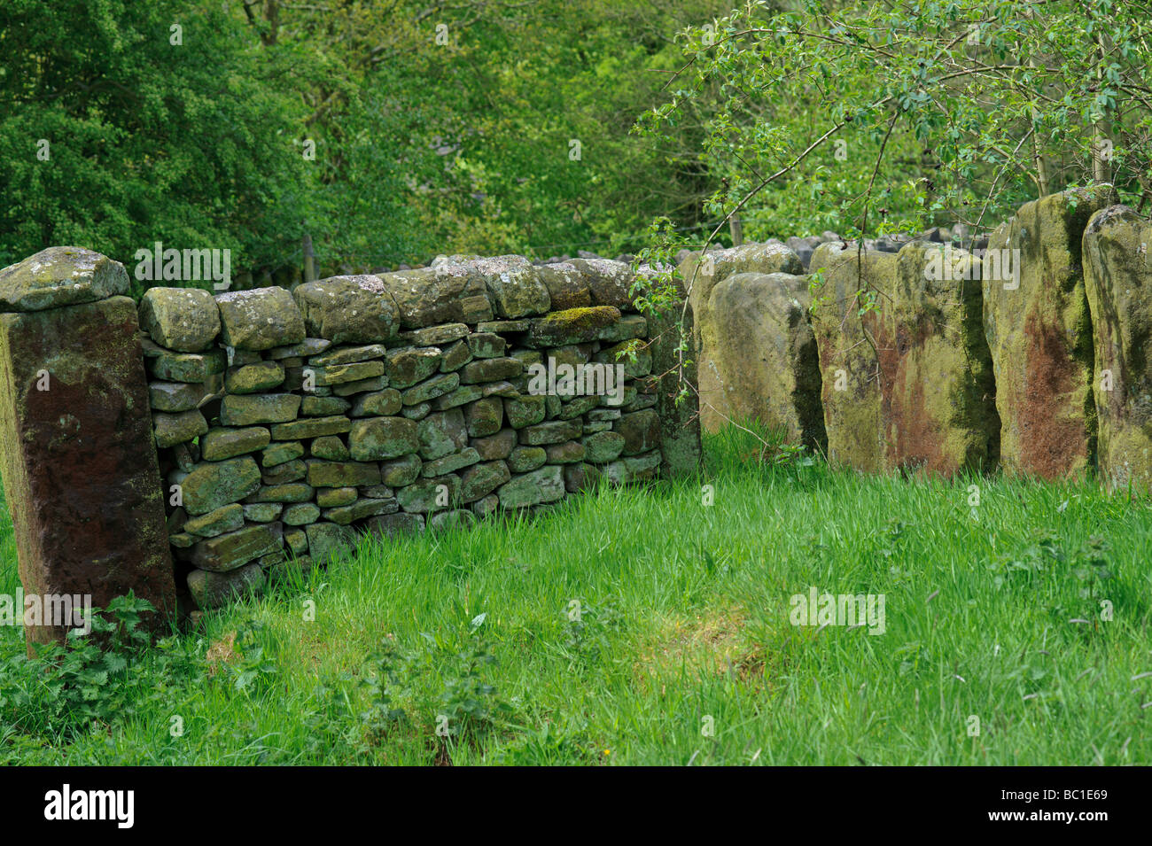 La clôture en pierres près de Wycoller Lancashire ou le dales Banque D'Images