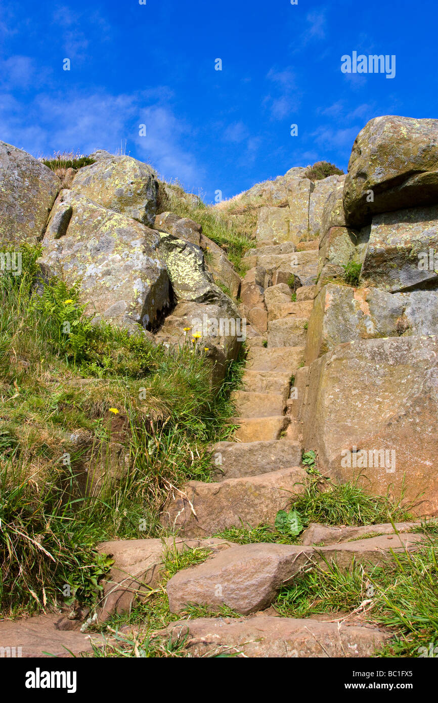 Les marches de pierre jusqu'à l'acier rigg sur mur d'Hadrien, Northumbria Banque D'Images