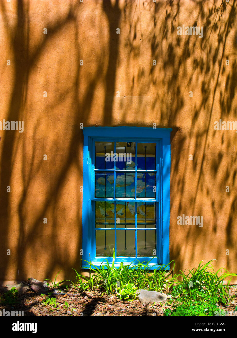Fenêtre bleu & tree shadows Banque D'Images