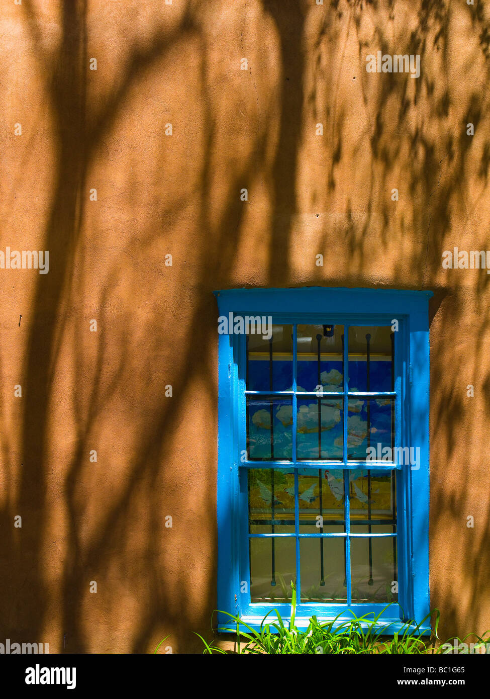 Fenêtre bleu & tree shadows Banque D'Images