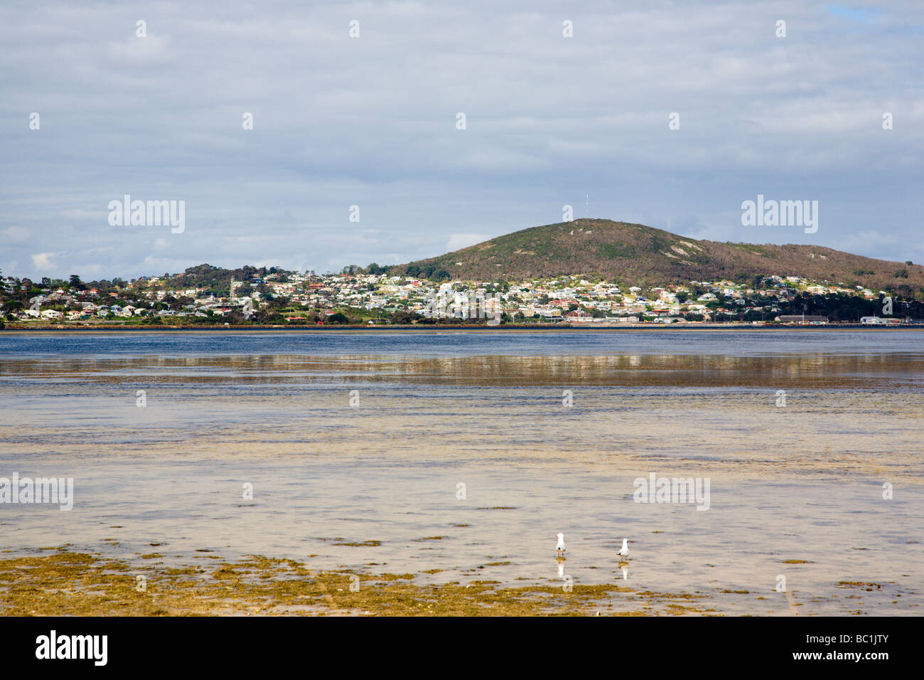 Princess Royal Harbour South West Albany WA Australie Occidentale Banque D'Images