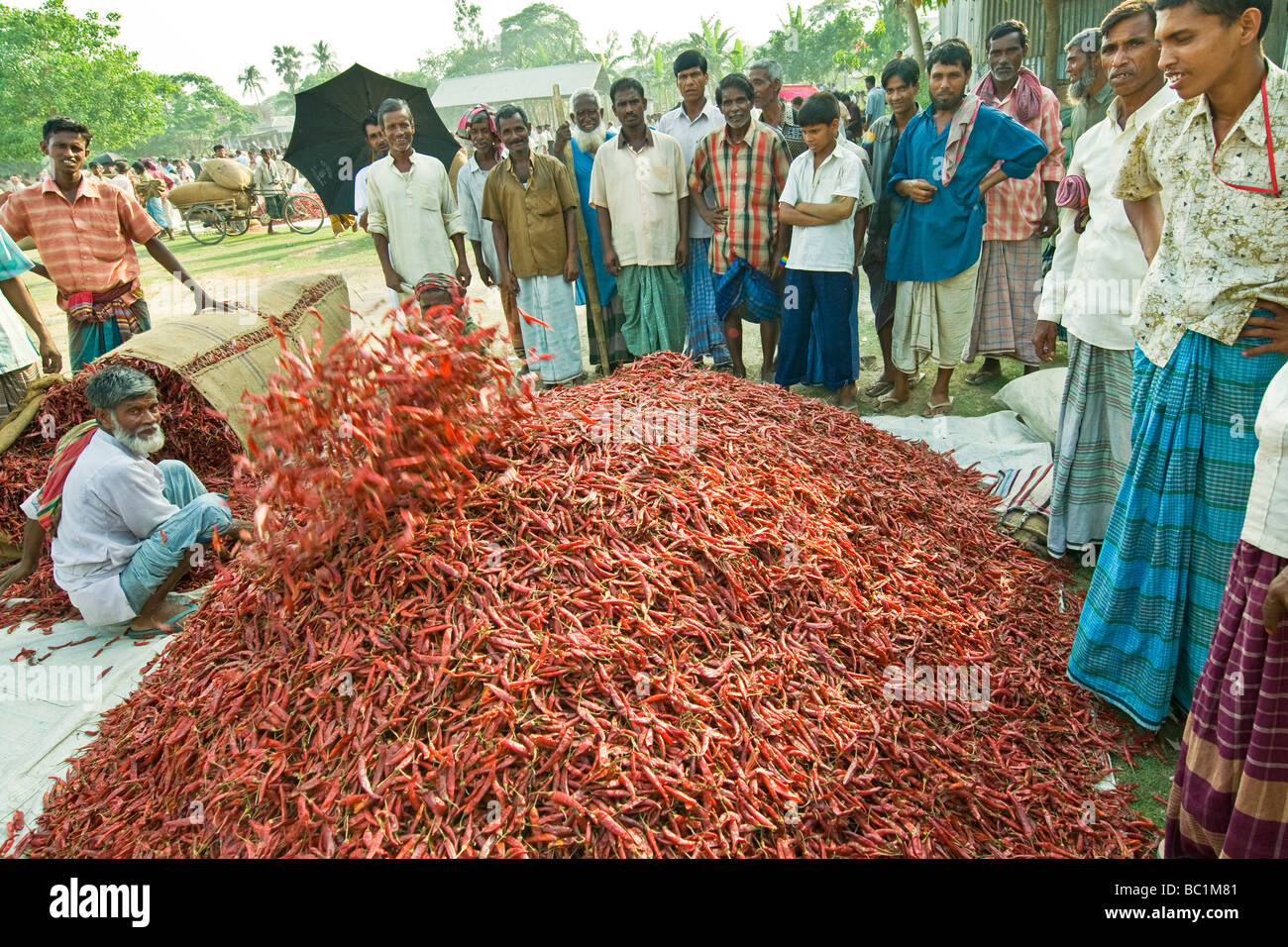 Le Bangladesh entourant de bogra Banque D'Images