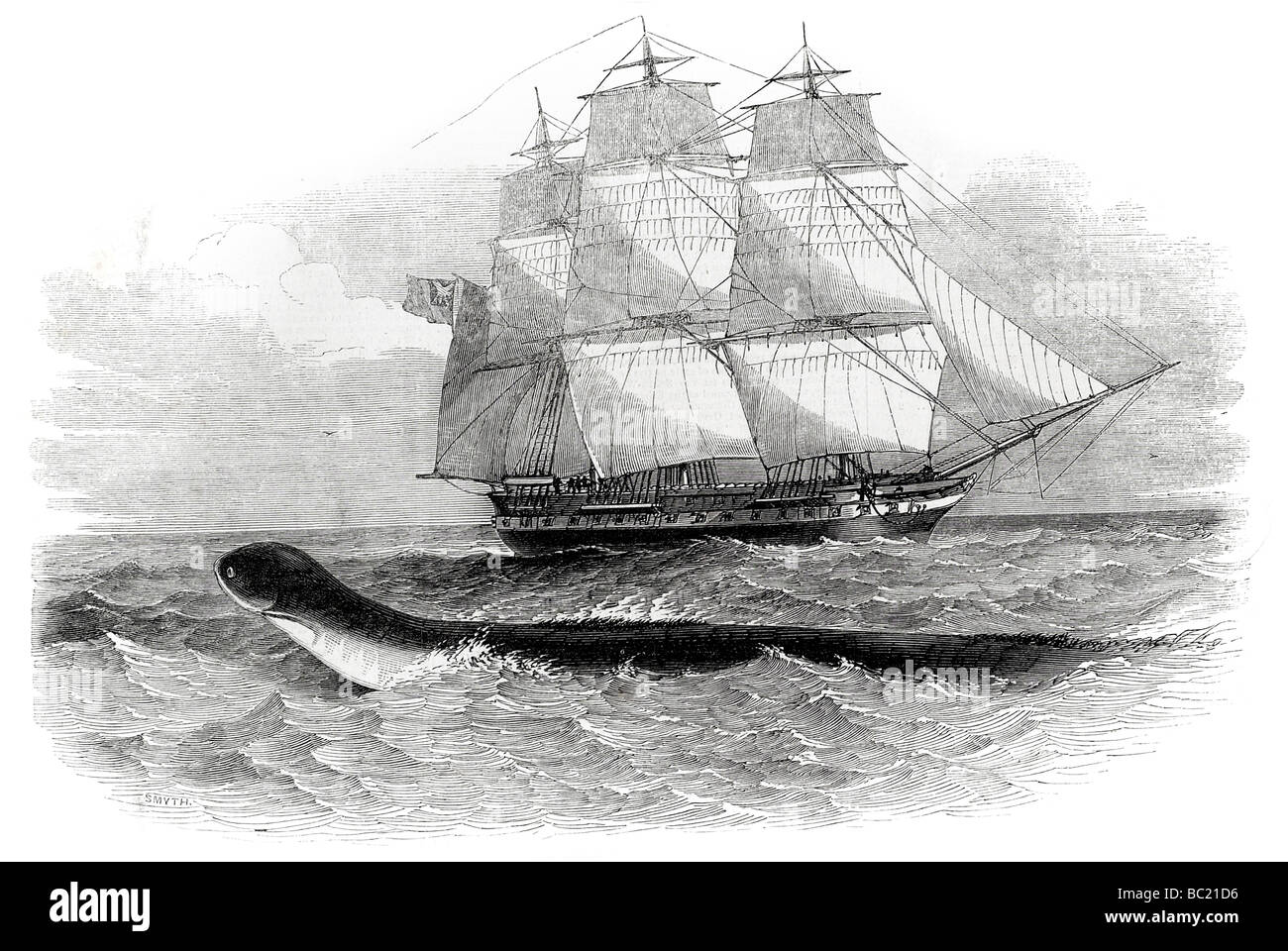 Le serpent de mer lors de la première vu de h m s daedalus Banque D'Images