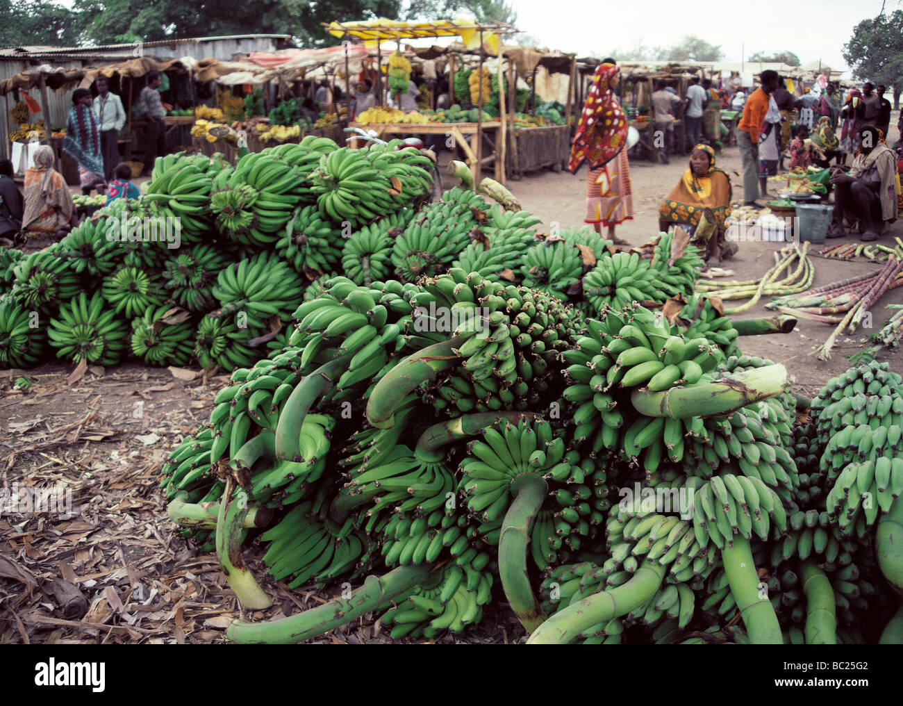 Les bananes au marché local de l'Afrique de l'Est de l'Ouganda Banque D'Images