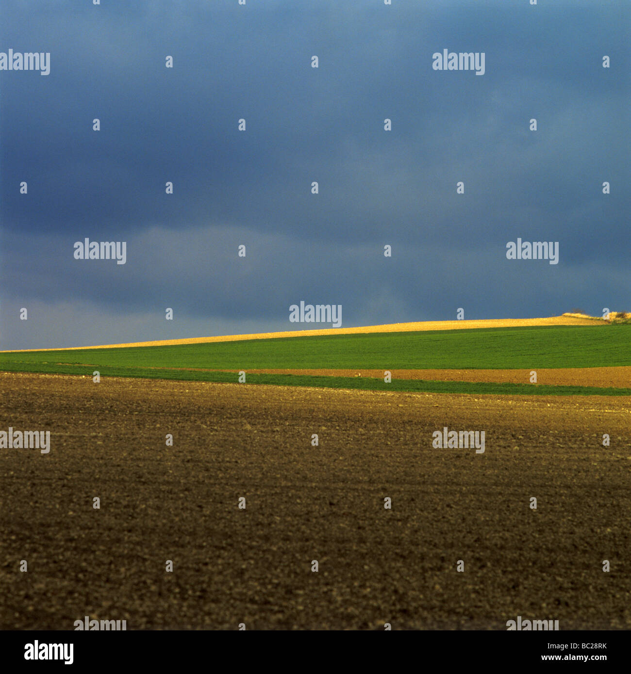 Champ labouré en Auvergne. La France. Banque D'Images