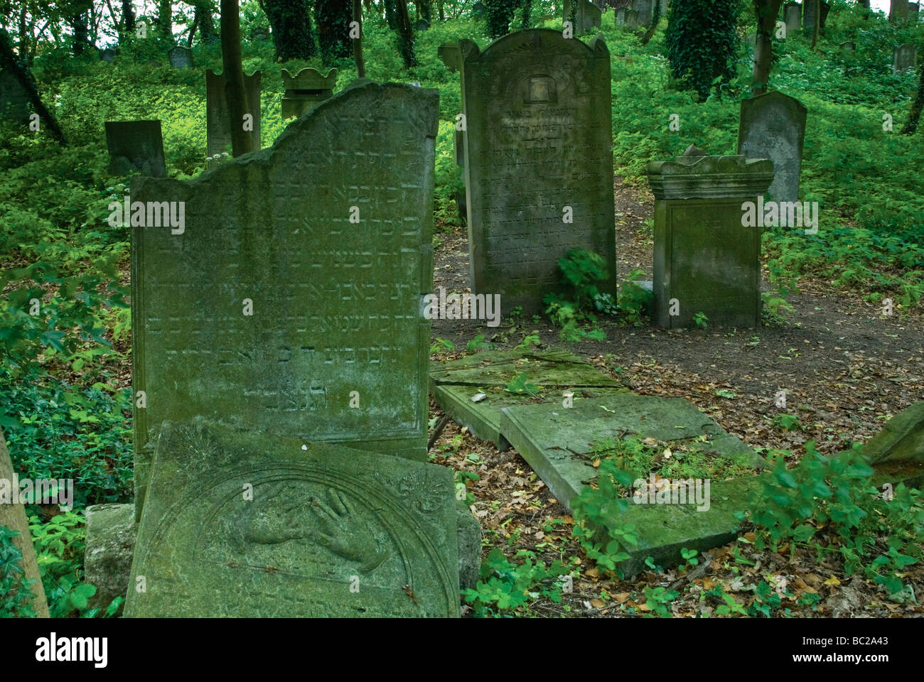 Mains bénédiction symbole à pierre tombale du curé à cimetière juif en Pologne Voïvodie Lubuskie Skwierzyna Banque D'Images