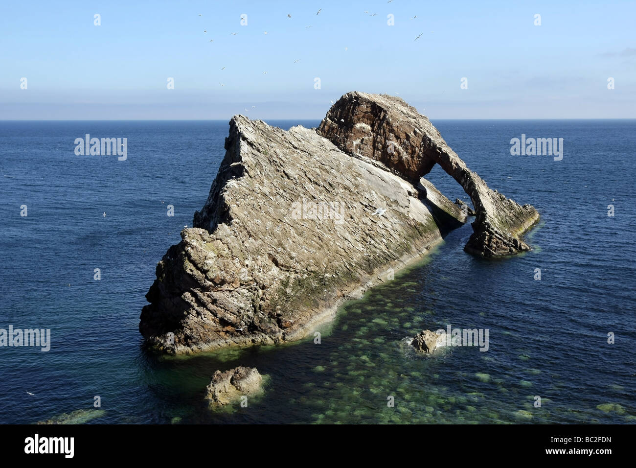 L'étrange rocher connu sous le nom de l'Bowfiddle Rock près du village de Portknockie, Aberdeenshire, Scotland, UK Banque D'Images