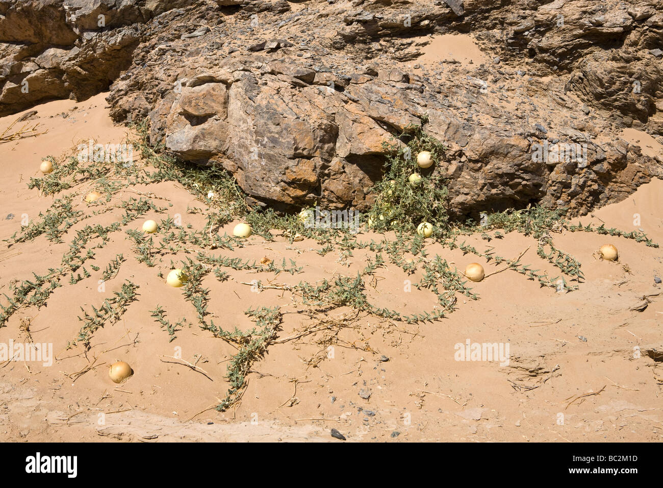 Géologie à l'Est du désert d'Égypte Banque D'Images