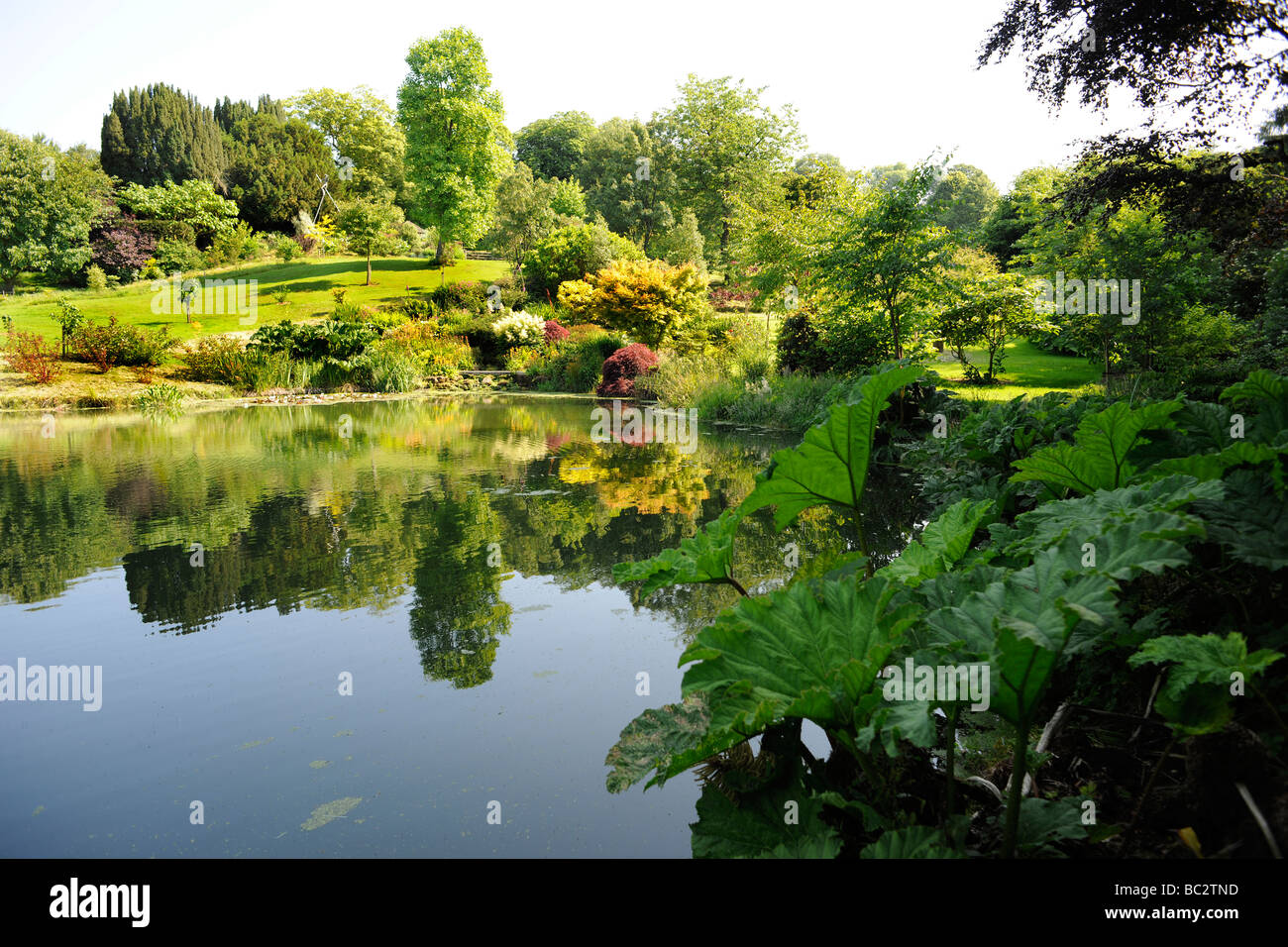 Lac dans un jardin paysager anglais dans le Somerset, Royaume-Uni Banque D'Images