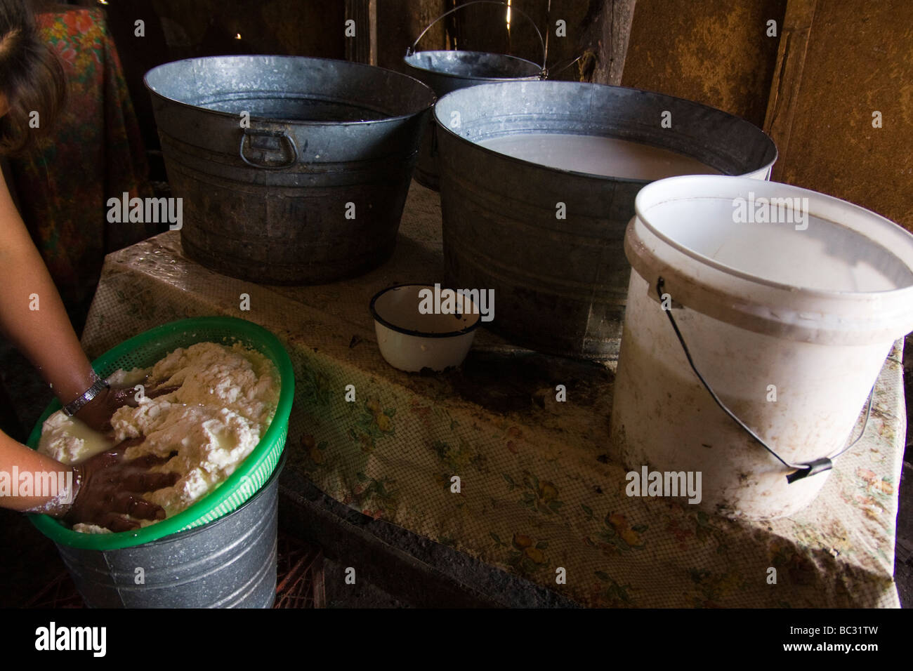 Une femme prépare le fromage de chèvre dans la région de San Francisco de la Paz, Baja California, Mexique. Banque D'Images