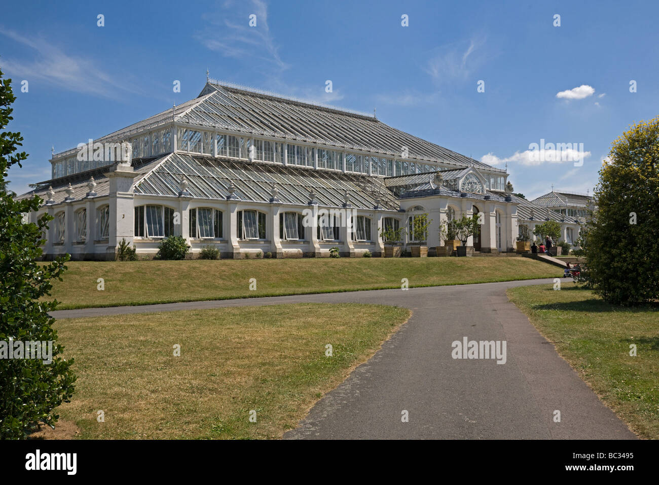 Chambre tempérée. Royal Botanic Gardens, Kew London GB UK Banque D'Images