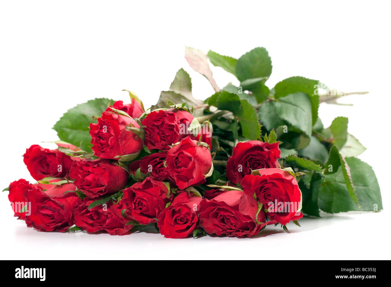 Bouquet de roses boutons de rose rouge Banque D'Images