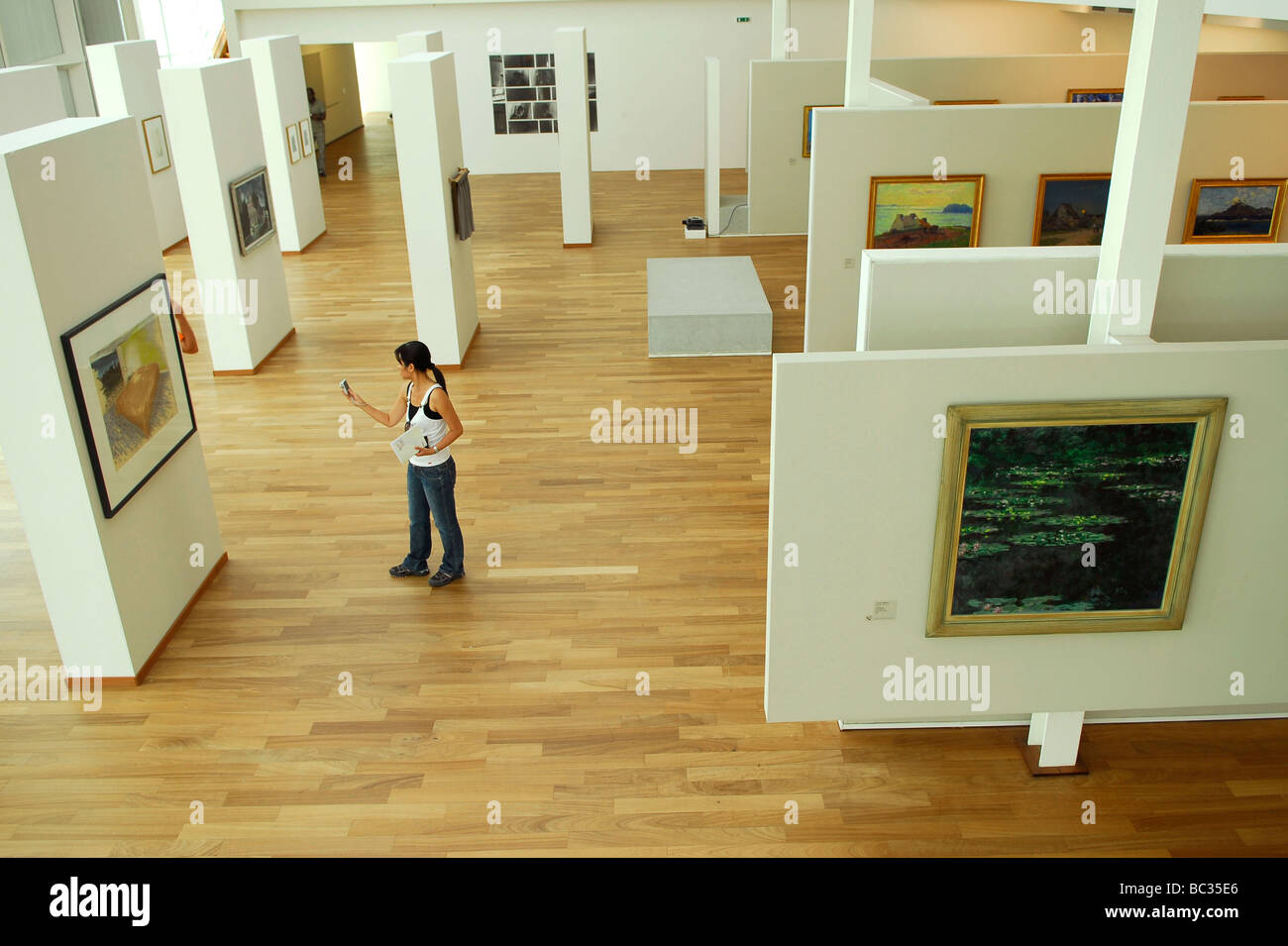 Le Havre (76) : Musée des Beaux-Arts André Malraux Banque D'Images
