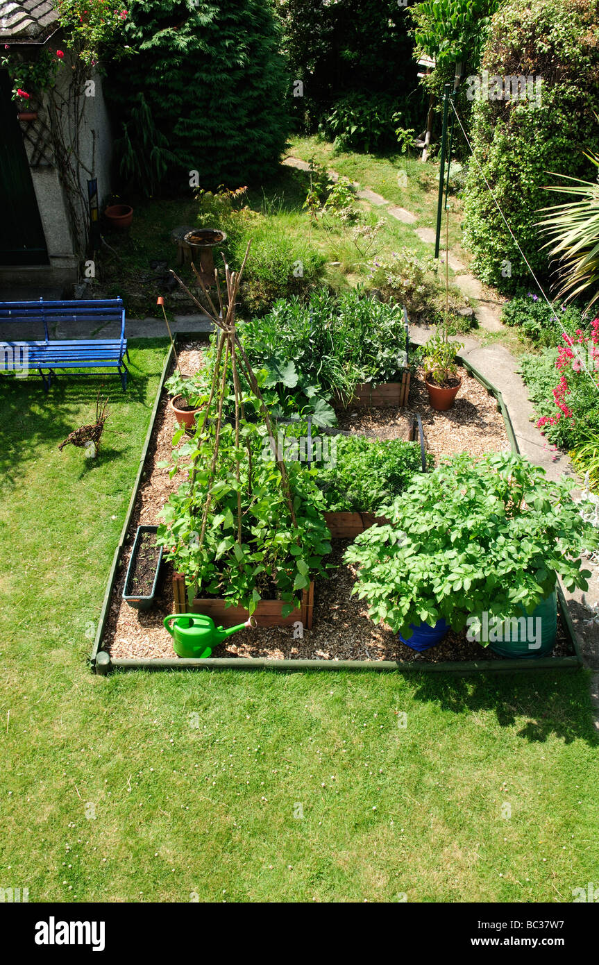 Lits de légumes relevée dans le jardin, UK Banque D'Images