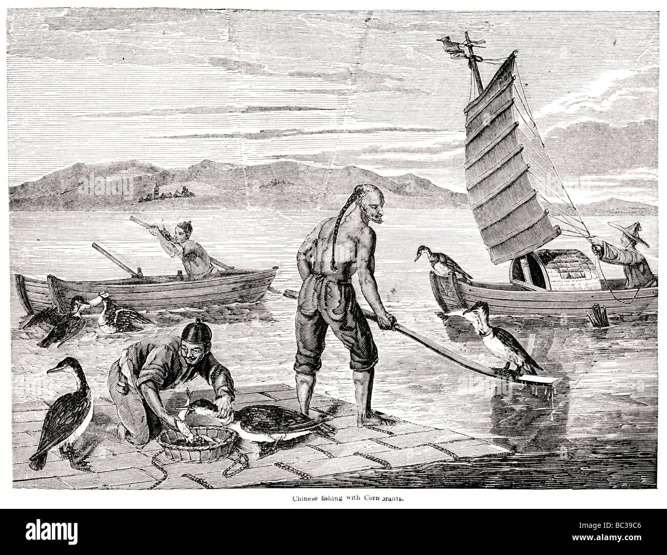 Avec les cormorans de pêche chinois Banque D'Images